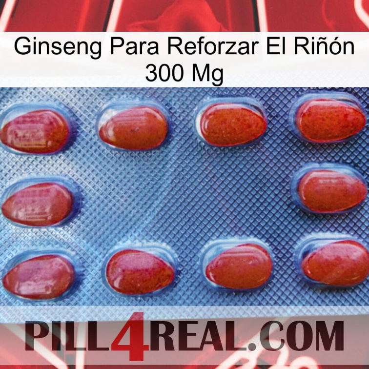 Ginseng Para Reforzar El Riñón 300 Mg 06